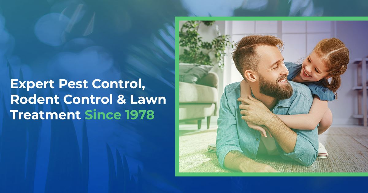Lawn Treatment in Palm Harbor Bug Master Pest Control